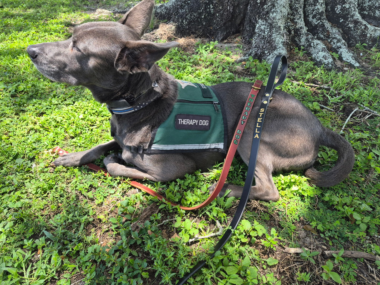 Bridle Leather Dog Leash